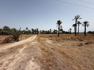 Finca rústica a Algorós - El Derramador