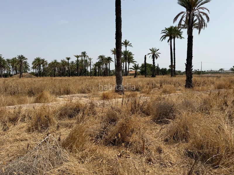 Foto 691286a8-8254-4098-8620-8b2393245a49. Finca rústica a Algorós - El Derramador Elche / Elx