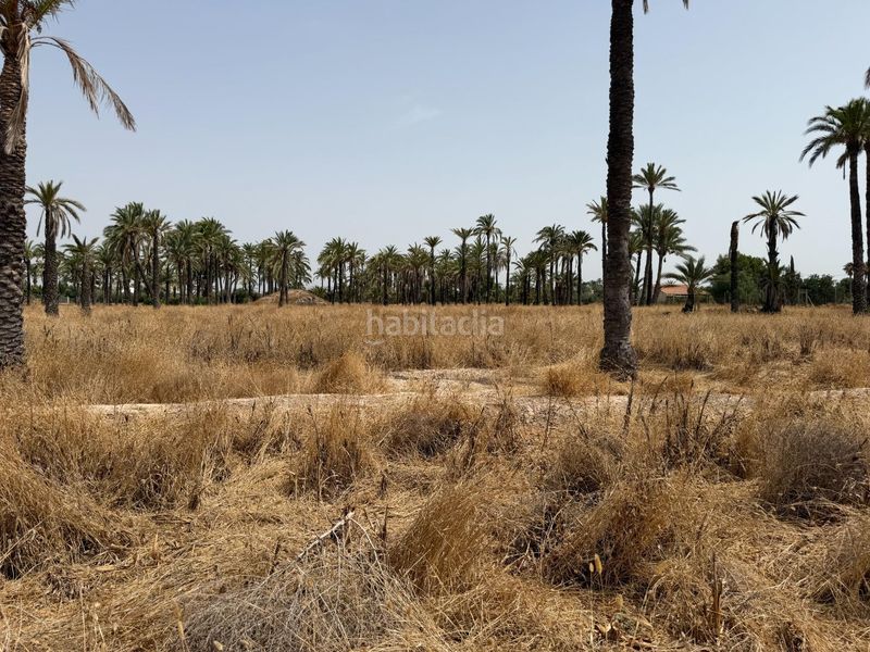 Foto 9d2935d2-a480-4291-ab0a-7b9800754de9. Finca rústica a Algorós - El Derramador Elche / Elx