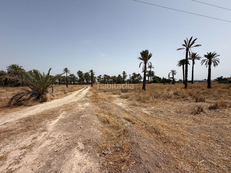 Foto b86c0785-6e80-45a8-ad69-c125e2ab09f4. Finca rústica a Algorós - El Derramador Elche / Elx