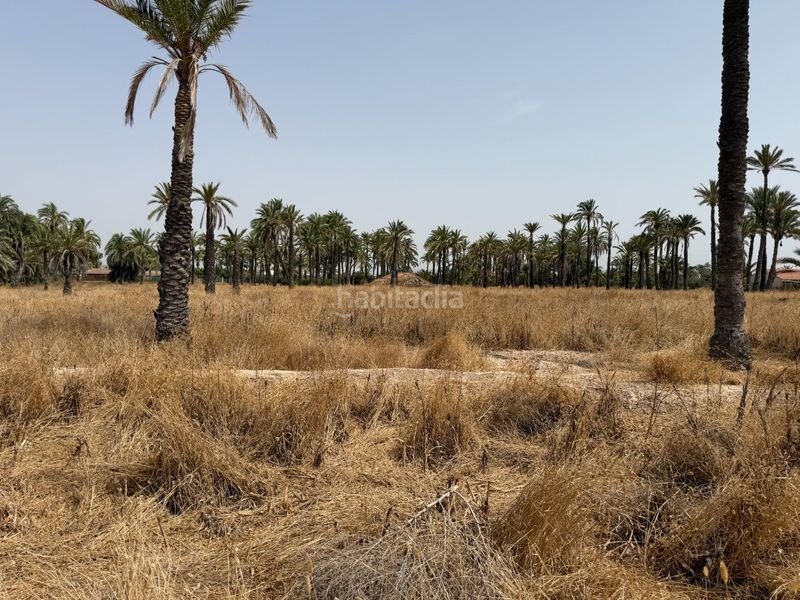 Foto ea51a659-05e0-4e27-bb19-effe86ec4ee7. Finca rústica a Algorós - El Derramador Elche / Elx