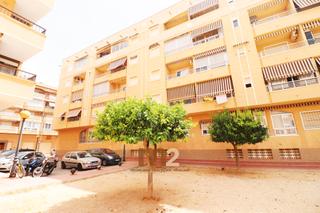 Pis  Carrer dolores viudes blasco. Se vende apartamento en guardamar del segura