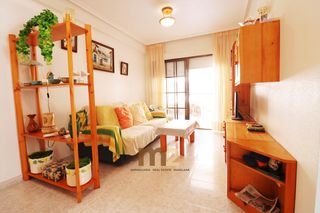 Apartament  Plaza de ecuador trives. Se vende apartamento en guardamar del segura