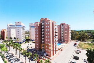 Apartament  Avenida del puerto. Se vende apartamento en guardamar del segura