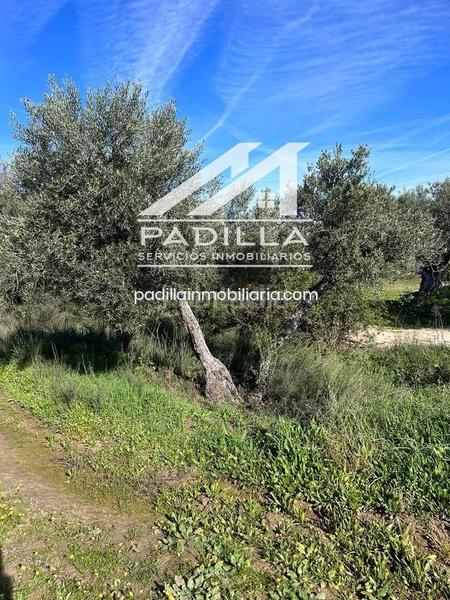 Foto faeb9fe0-11ec-4b15-9555-9ef6a9d239eb. Finca rústica a Méntrida