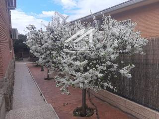 Xalet a Méntrida. Chalets independientes en méntrida