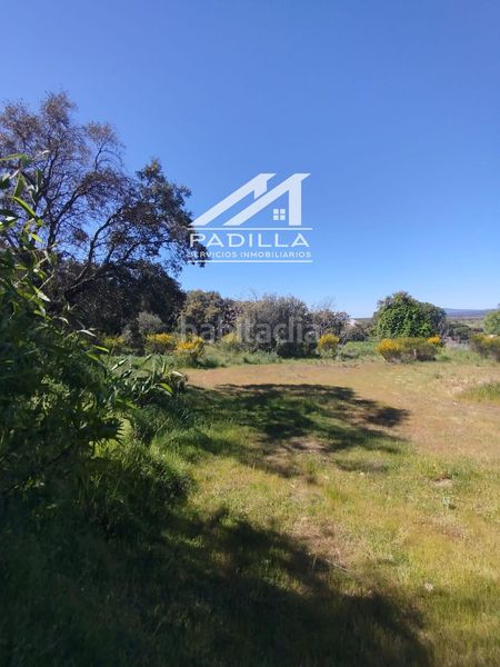 Foto dbe56208-4241-4cbe-a6f7-f115300e66c4. Finca rústica a Calalberche