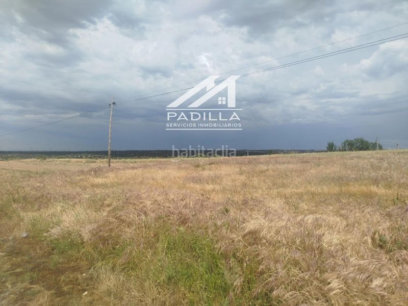 Foto cb330674-40d3-44cf-8fcd-4eea4c526119. Finca rústica a Méntrida