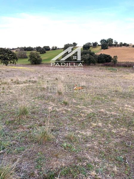 Foto 2093d485-9153-4668-9573-26cffe14ba47. Xalet amb calefacció aparcament a Méntrida