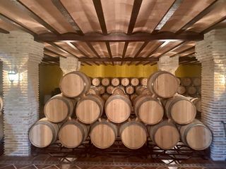 Geschäftsraum in Chinchilla de Monte - Aragón. Exclusiva bodega con viñedos, restaurante y espacios para evento