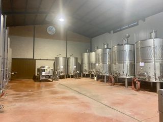 Local Comercial a Feria. Fantastica y exclusiva bodega en la mancha