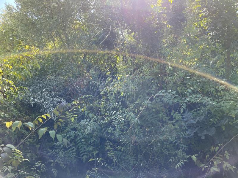 Foto 1b4c0b1d-53d5-4089-adf9-dbbee93861fe. Terreno residencial terreno con vistas al mar en Vallpineda-Santa Bàrbara Sitges