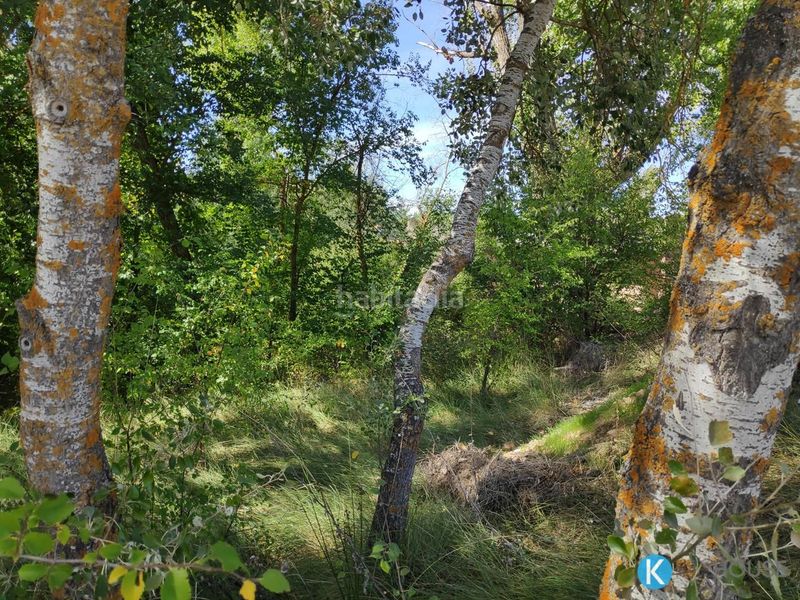 Foto 4cd17702-36ac-4b06-91be-8d71089972cf. Wohngrundstück in plazuela 3 in Jirueque