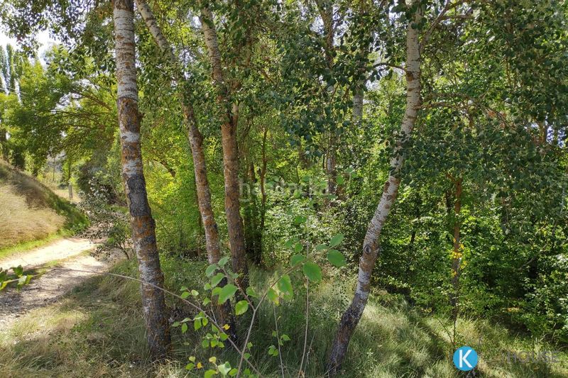 Foto e847ca16-cc6c-42b3-8e59-fdc2711345f3. Wohngrundstück in plazuela 3 in Jirueque