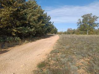Propriété  Pj monte los cortijos. Tu refugio natural en pastrana parcela plana con luz