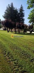 Terreny residencial a Pepino. Pepinoterreno