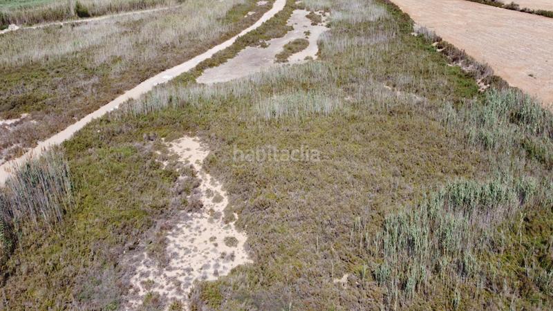 Foto 13678343-b635-45b8-9d1f-f3cf524101dc. Fondo rustico in Noroeste Santa Pola