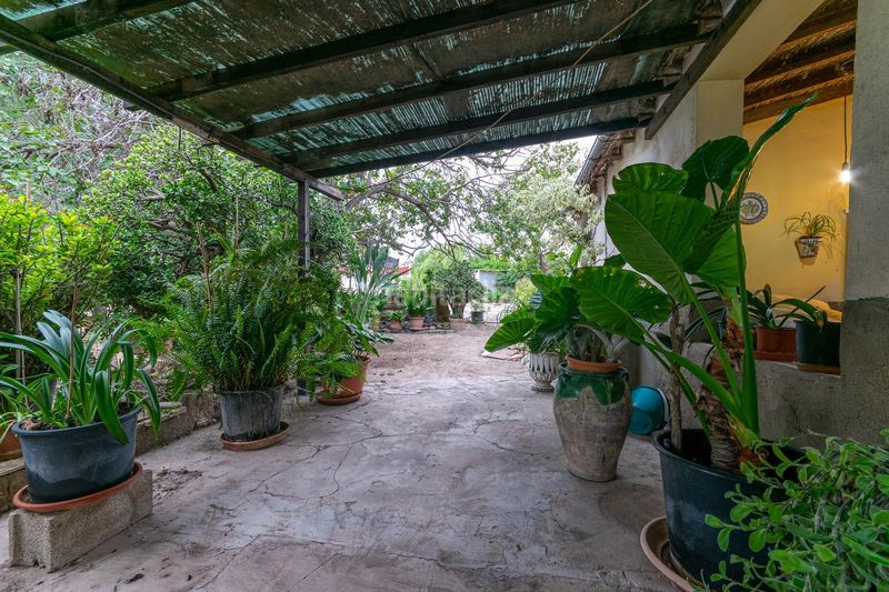 Foto 167661a7-0b1d-4a0f-8ed8-591498e2dfe5. Casa a La Foia - Daimés - Asprella Elche / Elx