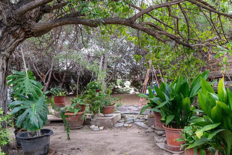 Foto 2ed3eab9-9ea9-45d8-931d-3067e71ff00b. Casa a La Foia - Daimés - Asprella Elche / Elx