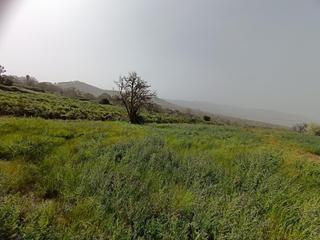 Terrain résidentiel à Matanza de Acentejo (La)