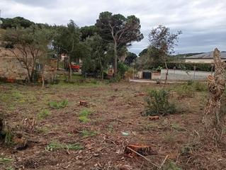 Terreny residencial a La Goba