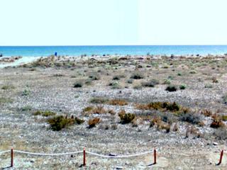 Terreny residencial a Almenara