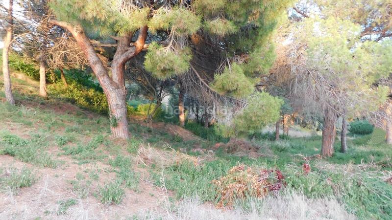 Foto 82bc8788-c0c8-4d5a-95dc-4c76ef126cf6. Terreno residencial en Can Quirze Mataró