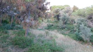 Terreno residenziale in Can Quirze