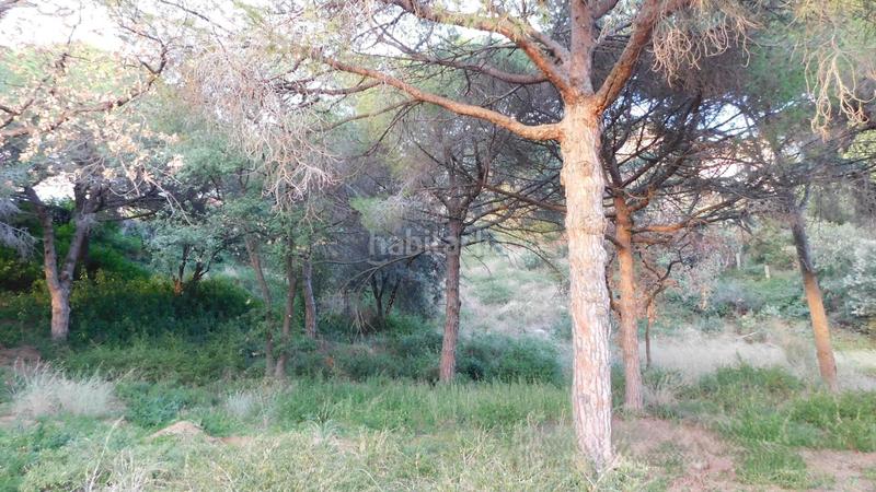 Foto d5cf950e-ccca-46d9-8e42-3864bdf78942. Wohngrundstück in Can Quirze Mataró