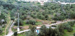 Rural plot in Benaoján