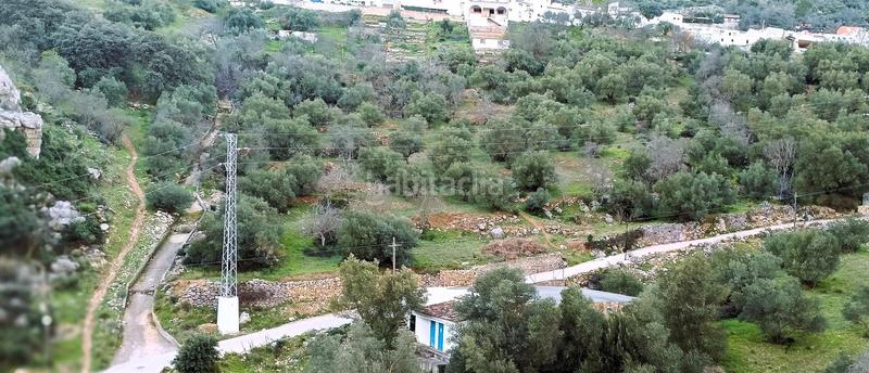 Foto 0a9fa9ba-2a7e-49d8-b5cb-8bc553dd1020. Finca rústica a Benaoján