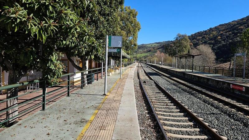 Foto 5475fac4-d7f9-49d6-ac00-f20d29725346. Finca rústica a Benaoján