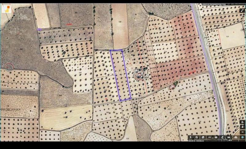 Foto 2a4bcf24-0e4c-4938-a8e0-24f992517803. Landgut in Campo de Criptana