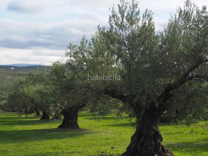 Foto 5e983f1f-08d1-4bf1-ae6c-e1bc3701419d. Landgut in Campo de Criptana