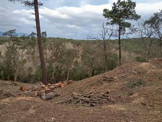 Terrain résidentiel à Terrafortuna - Puig Ventós