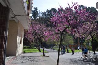 Appartement à Arrigorriaga
