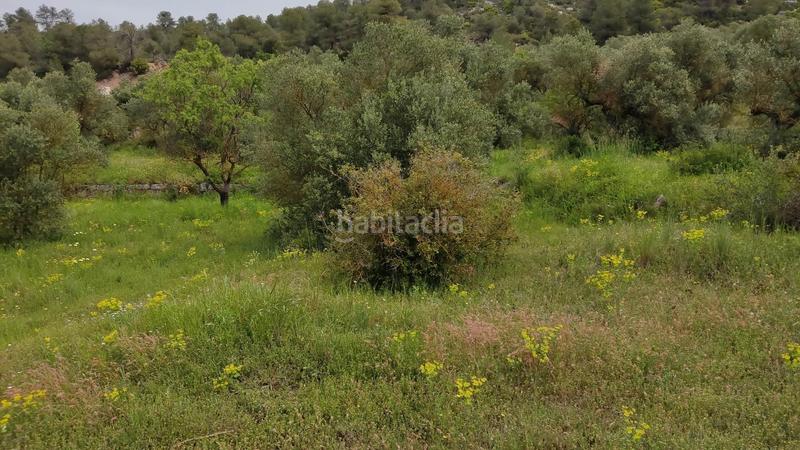 Foto 51453bd2-66d2-4538-aa30-60ebb6634964. Finca rústica en Vinaixa