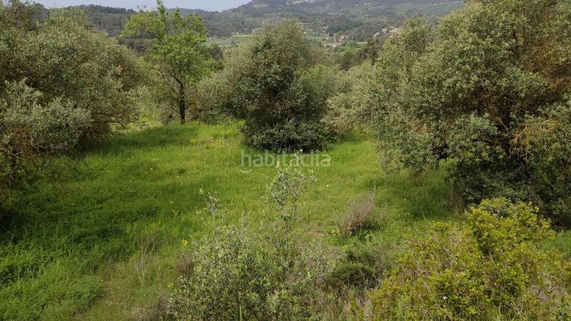 Foto b2e14cb8-1621-48c4-9b27-19a1b4b16ed5. Finca rústica en Vinaixa