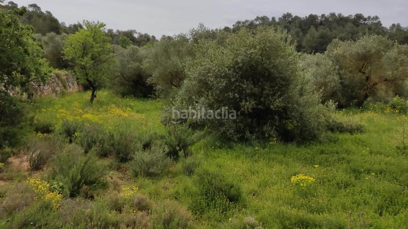 Foto b5cf7db7-8f3e-4a49-8a60-622d4cc31b87. Finca rústica en Vinaixa