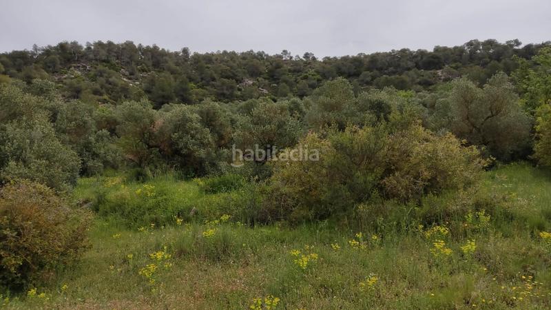 Foto db5c487a-4230-4b67-8035-f0e48a848977. Finca rústica en Vinaixa