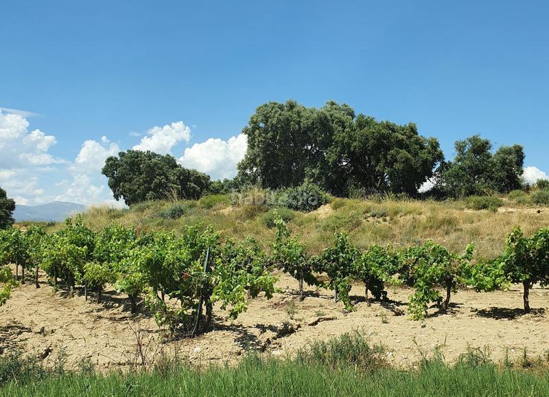 Foto 0c0bd37d-39ba-4fce-815a-12f721dbf3b2. Maison dans Casbas de Huesca