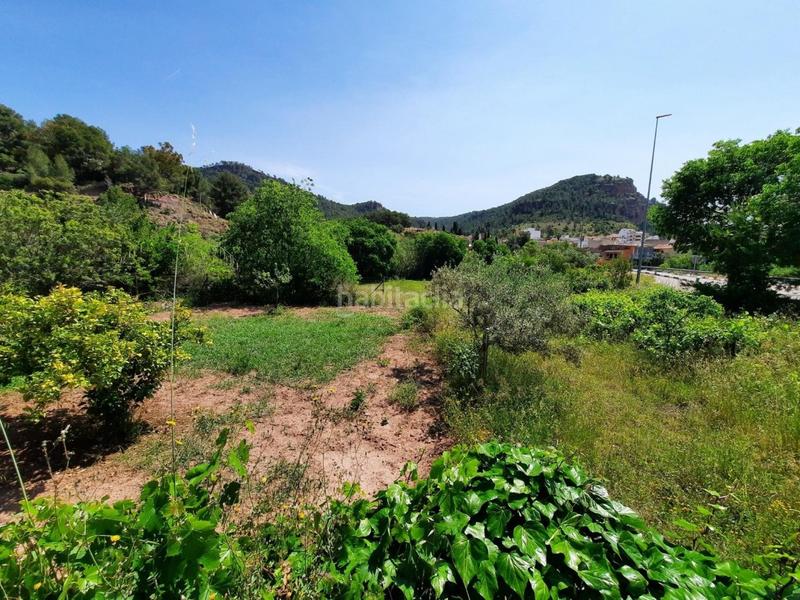 Foto d40965c8-a87b-403f-a162-c70c42a9a679. Propriété dans Olocau