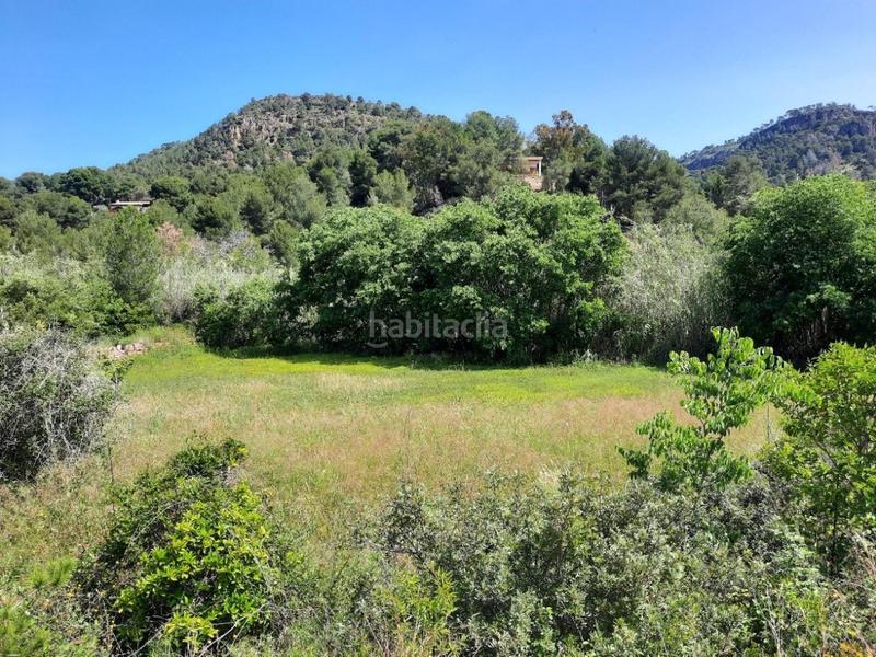 Foto e700116d-936b-4c26-98f8-1b305c1a14ac. Propriété dans Olocau