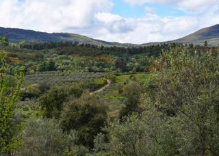 Finca rústica en Perales del Puerto