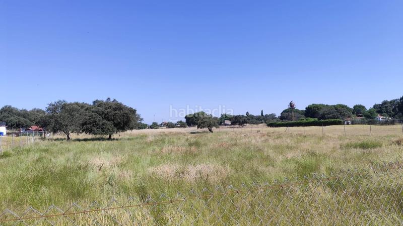 Foto e5cf8761-e5da-497f-beee-0ad4353a2a64. Landgut in pedanías de Badajoz Badajoz