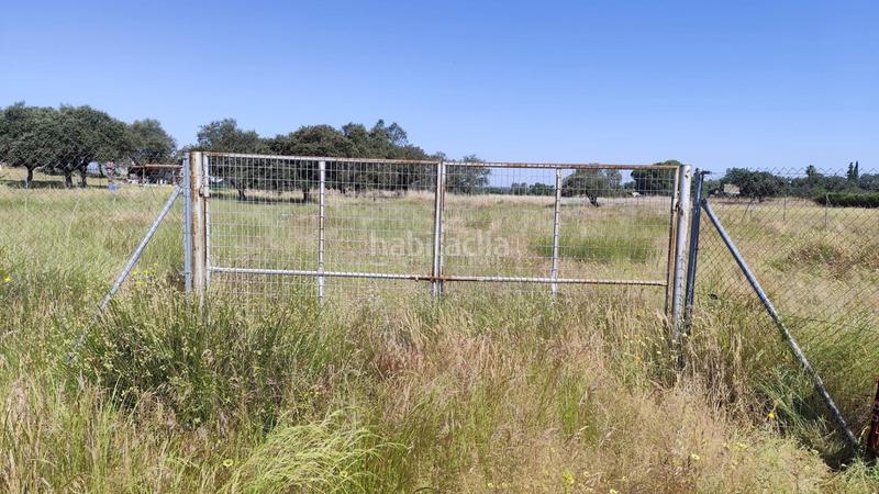 Foto 1a295eb1-1714-45d4-a975-dcd86413c24e. Finca rústica en pedanías de Badajoz Badajoz