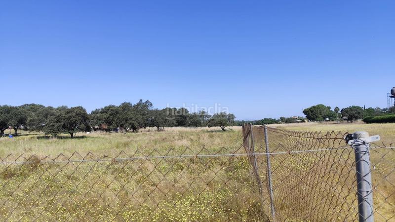 Foto 78ecc900-3c51-491b-a717-d8c3a083782d. Finca rústica en pedanías de Badajoz Badajoz