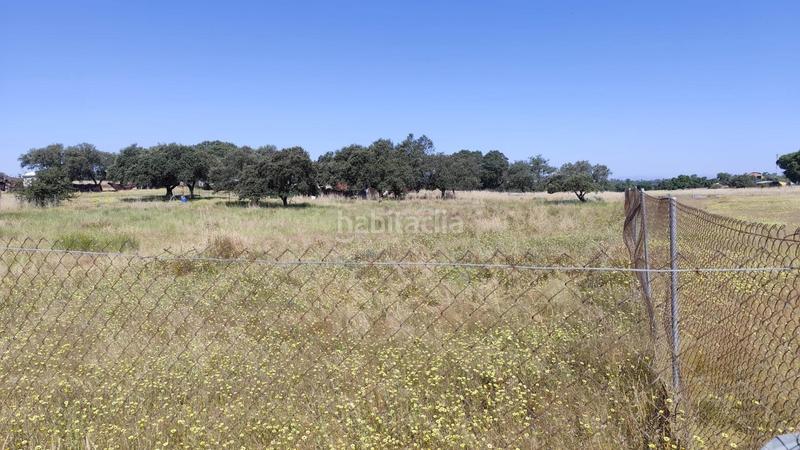 Foto c19f5d0e-d79b-4610-8cfb-ac2cd597dee4. Finca rústica en pedanías de Badajoz Badajoz