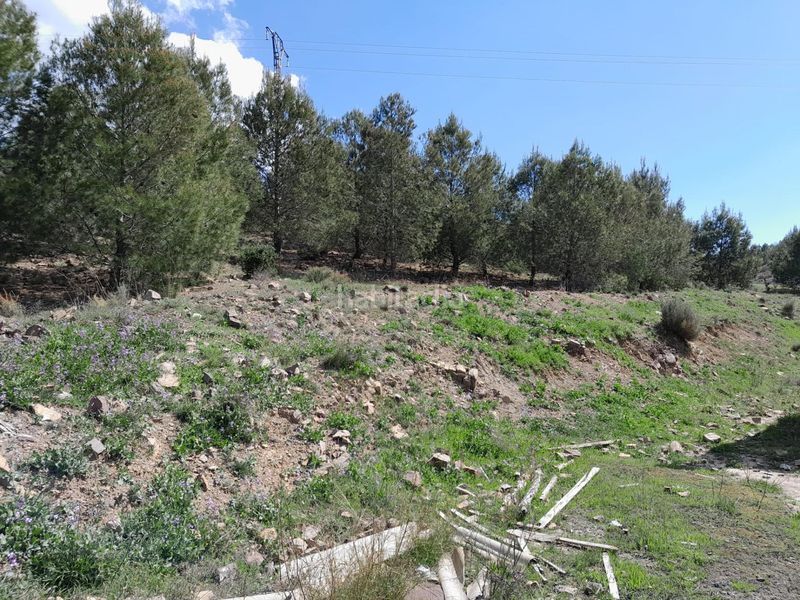 Foto 160cbdf7-11f3-4c68-a7ea-c8a786afb638. Masia amb aparcament a Cehegín