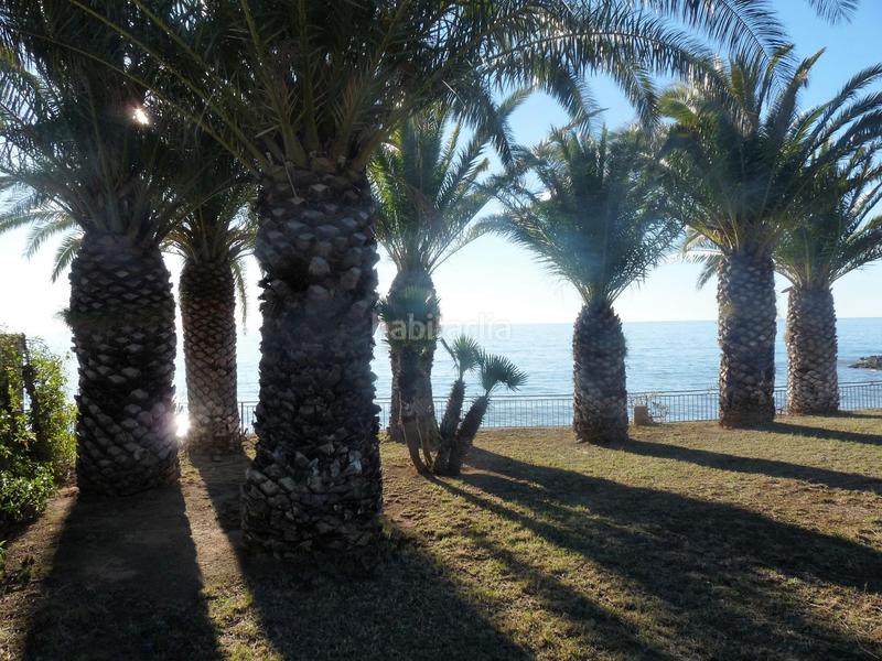 Foto 5fb9dde8-6faf-49ed-a2ab-10c28e090098. Casa amb calefacció aparcament a Alcanar